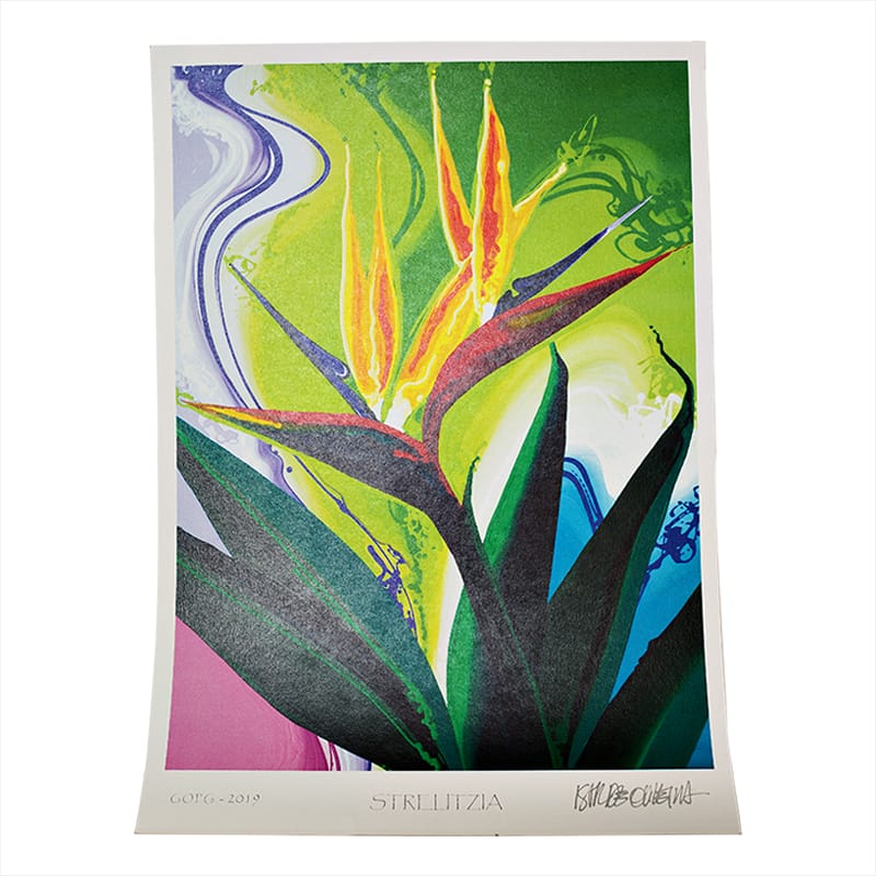 Gravura Digital Strelitzia
