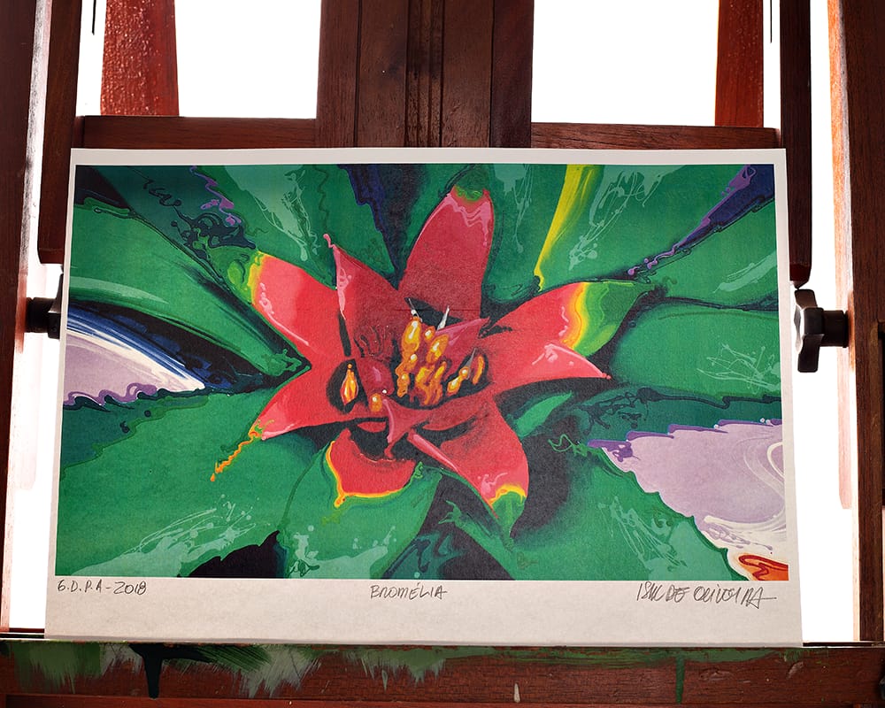 Gravura Assinatura Original Bromélia 01