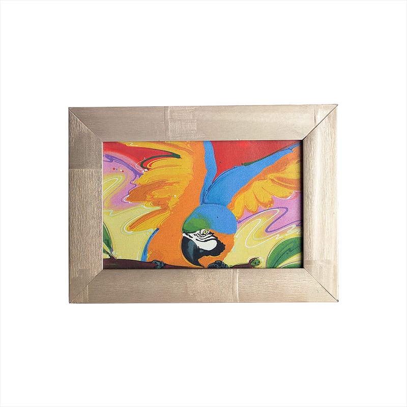 Mini Quadro Arara Canindé