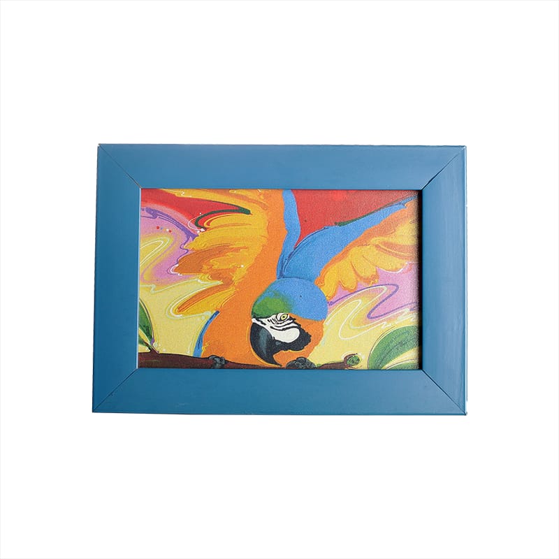 Mini Quadro Arara Canindé Moldura Azul